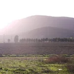Casa de Campo Podere Monte Corno Alberese