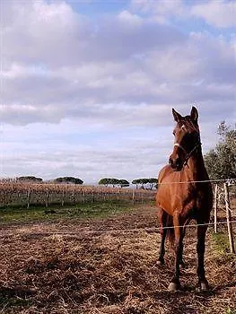Casa di campagna Podere Monte Corno